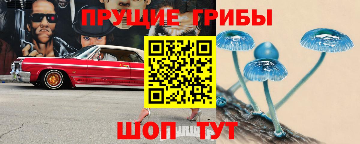 Псилоцибиновые грибы Psilocybe  Вход с VPN  Галлюциногенные грибы ЛСД  Полысаево 