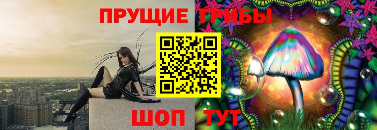 Псилоцибиновые грибы прущие грибы Полысаево